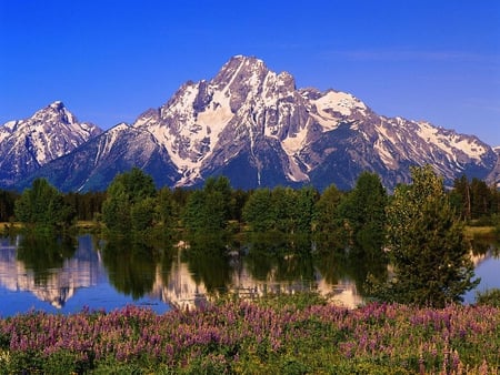 Peak of Teton mountain Range - lake, peak, nature, mountain