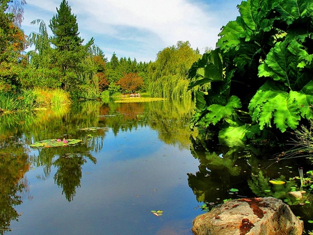 Nature landscape - landscape, lake, reflection, nature