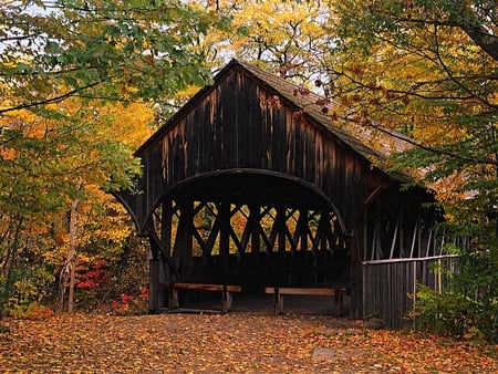 Little cottage in the forest