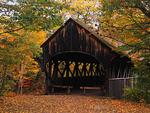 Little cottage in the forest