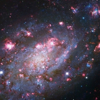 NGC 2403