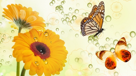 Golden Flowers and Butterflies - circles, yellow, butterflies, green abstact, gold, firefox persona, flowers, dew, butterfly, rain drops, dahlia