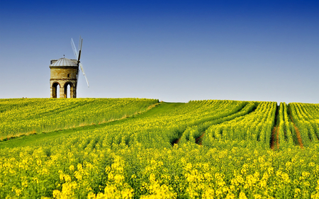 Summer field - summer, path, beautiful, yellow, windmill, grass, sky, field, nature, colors