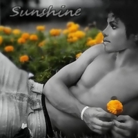 Forever SunShine ;)