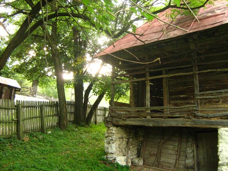 Old cottage - trees, branches, green, old, grass, houses, architecture, cottage