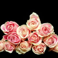 pink roses