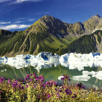Kenai Fjords National Park 2
