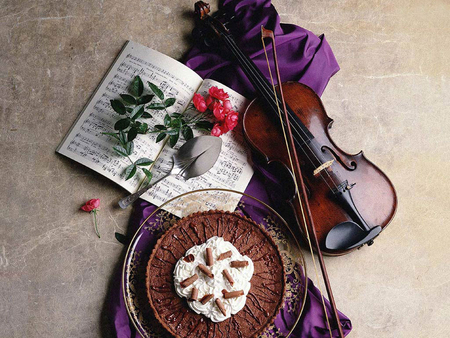 After Dinner - dinner, after, violin, dessert, cake