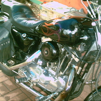 82 sportster