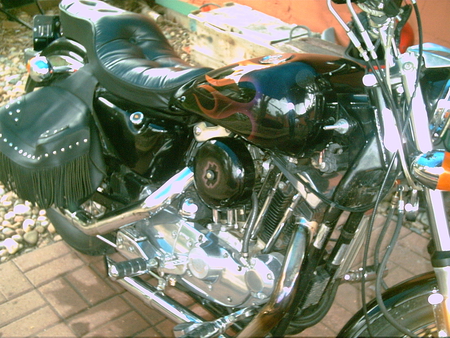 82 sportster - fast, harley, loud, fun