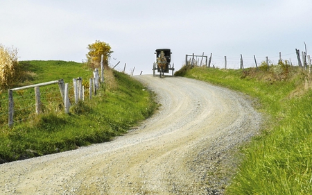 Peaceful Country Drive - drive, road, peaceful, country