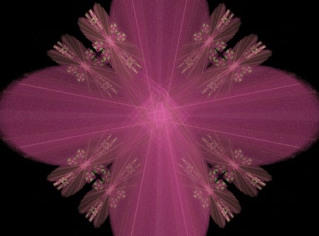 Pretty Pink petals - pretty, abstract, fractals, pink, fractal