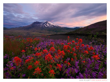 explosion - nature, sky, landscape, mountain, clouds, field, flowers, colors