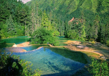 Wudalianchi National Forest - nature, water, china, forest