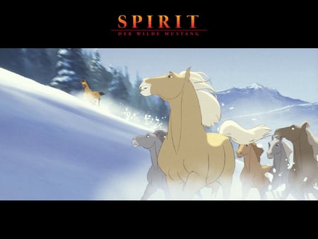 young spirit and his heard in the snow - horses, spirit, wild horse heards, snow