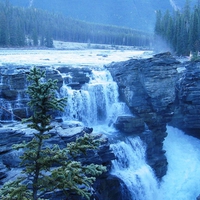 Athabaska Falls, Alberta