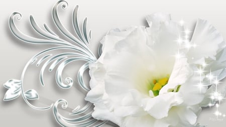 Purity in White - pure, flower, firefox persona, flora, white, silver, floral, virgin, swirls