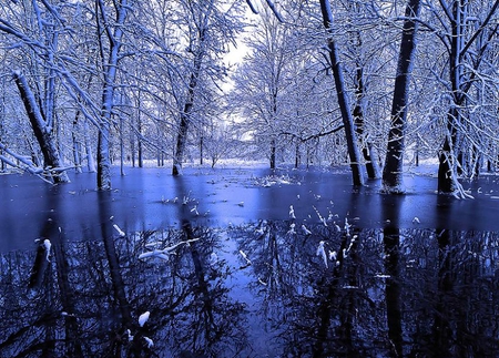 Sapphire Winter Landscape - reflections, wonderful, trees, winter, nature, blue, pond, snow