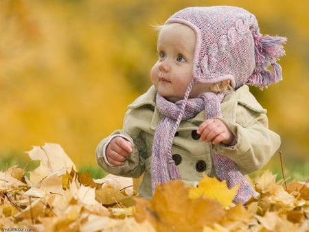 Autumn Baby - leafs, autumn, cute, little, babygirl, sitting