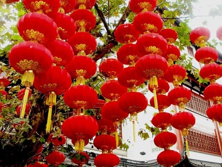 Hanging Lanterns - pretty, lanterns, red, tassles, oriental, gold