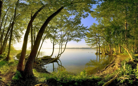 lake-view - lakes, forest, trees, nature