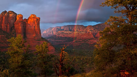 Red Rock Rainbow - beautiful, rock, tree, arizona, nature, rainbow, canyons, hd, sky