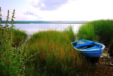 Blue Boat - lake, water, shoreline, boating, boat, grass