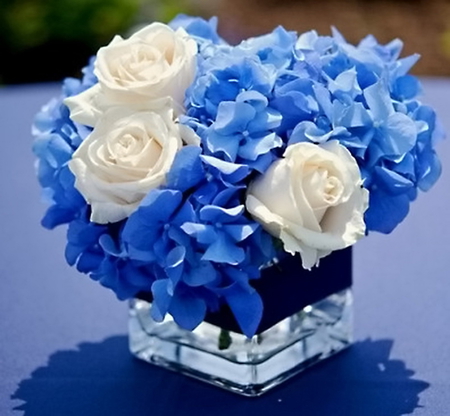 White and blue for you - flowers, roses, white, blue, crystal