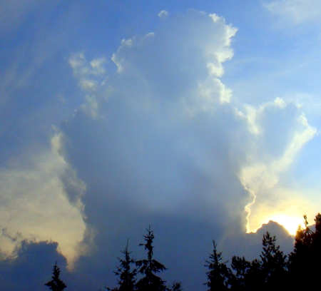 Standing bear - nature, sky, summer, clouds