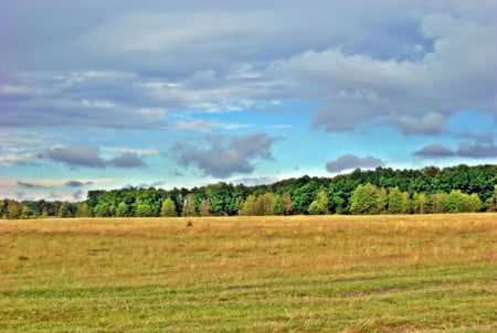 Summer in Poland - sky, landscape, clouds, summer, poland, meadow