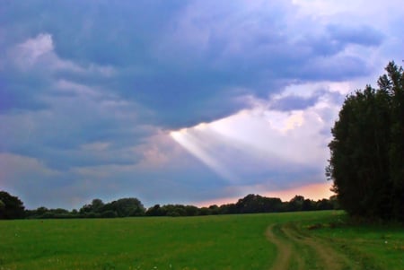 Sky over meadow - sky, landscape, clouds, summer, meadow