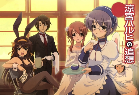 suzumiya haruhi no yuuutsu - animal, dress, school, bunnygirl, suzumiya haruhi no yuuutsu, blush, maid