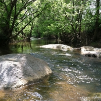 Bubbling Brook