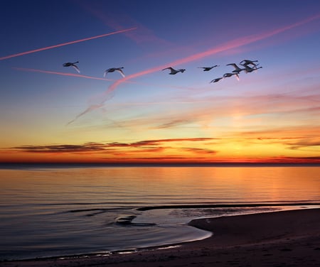 Sunset - clouds, birds, beach, beautiful, sea, colors, reflection, sand, sunset, nature, sky