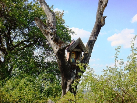 Pray for me - trees, summer, places, landscape, religious