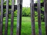 Old fence