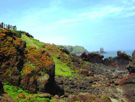 Coastal Landscape - ocean, coastal, green, grass