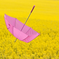 Caught in the wind