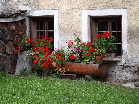 Little House - pot flowers, country house, frontyard, little