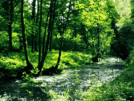 River - nature, green, rivers, forests