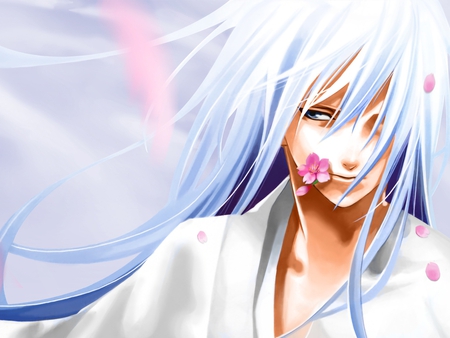 White Knight - sakura flowers, anime, white, cherry blossoms