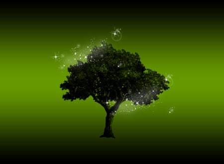 Nature in Green Glow - backround, nature, glow, green, tree, wallpaper, black