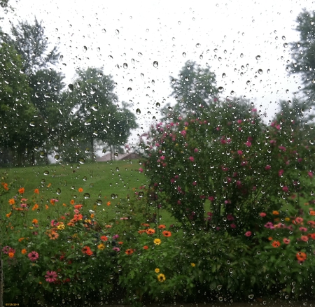 Summer Rain - flowers, garden, raindrops, rain