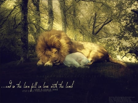 Edward and Bella - lion, animals, twilight, movies, lamb