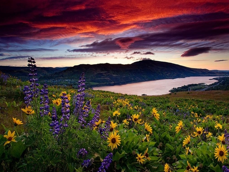 Beautiful Place - pretty, hills, splendor, landscape, grass, flowers, view, red, field, lake, field of flowers, sky, clouds, water, beautiful, beauty, colors, lovely, wildflowers, colorful, nature, sunset, green, mountains, peaceful