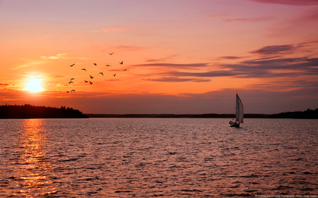 Sailboat at Sunset - sea, beauty, sunset, boat