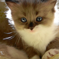 I"m looking right to you