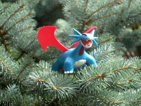 Salamence_in_Thorns - salamence, cool, in-thorns, photography