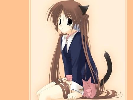 Neko Girl - tail, skirt, neko, animal ears, long hair, kawai, brown hair, catgirl, cool, tagme, anime, cute