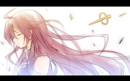 I'm sorry - sakura kyouko, mahou shoujo madoka magica, scar, girl, miki sayaka, long hair, cool, anime, cute, dress